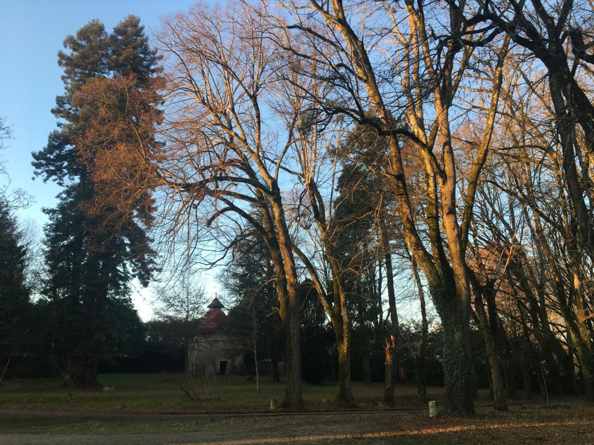 Chateau De Chasseneuil Sur Bonnieure Buitenkant foto