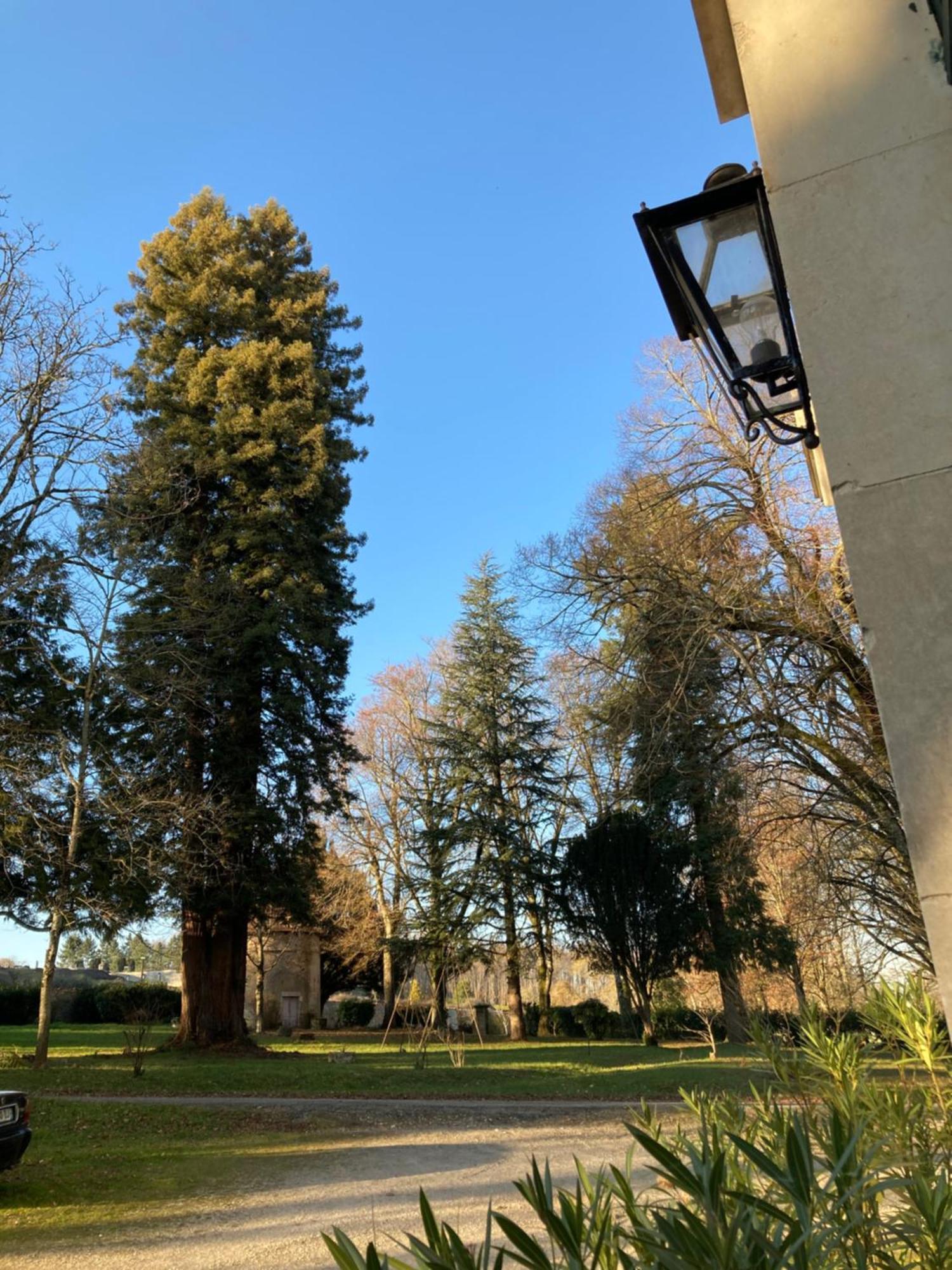 Chateau De Chasseneuil Sur Bonnieure Buitenkant foto